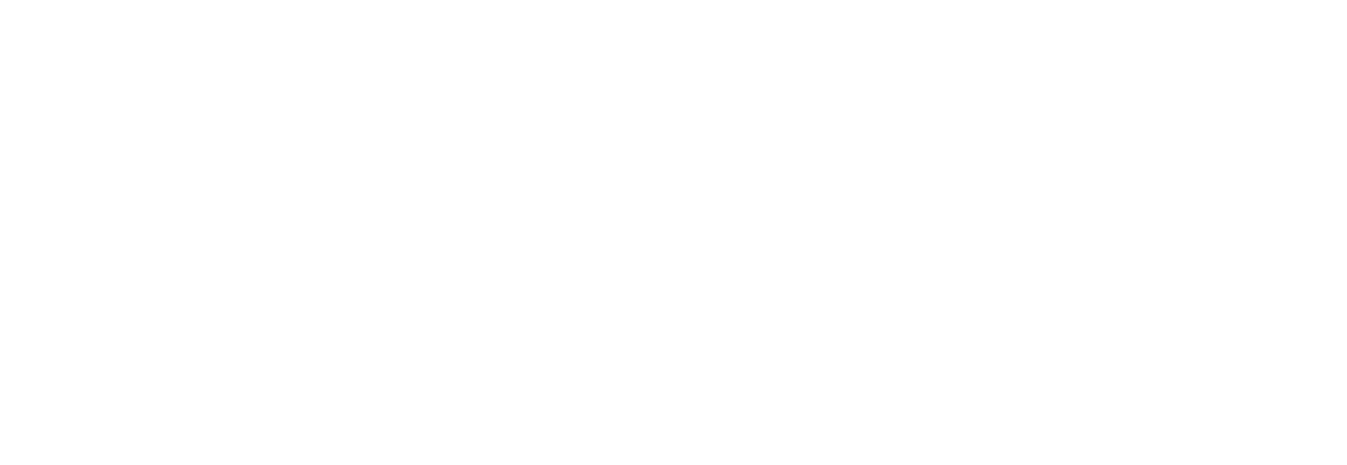 Web Excellence Award - White